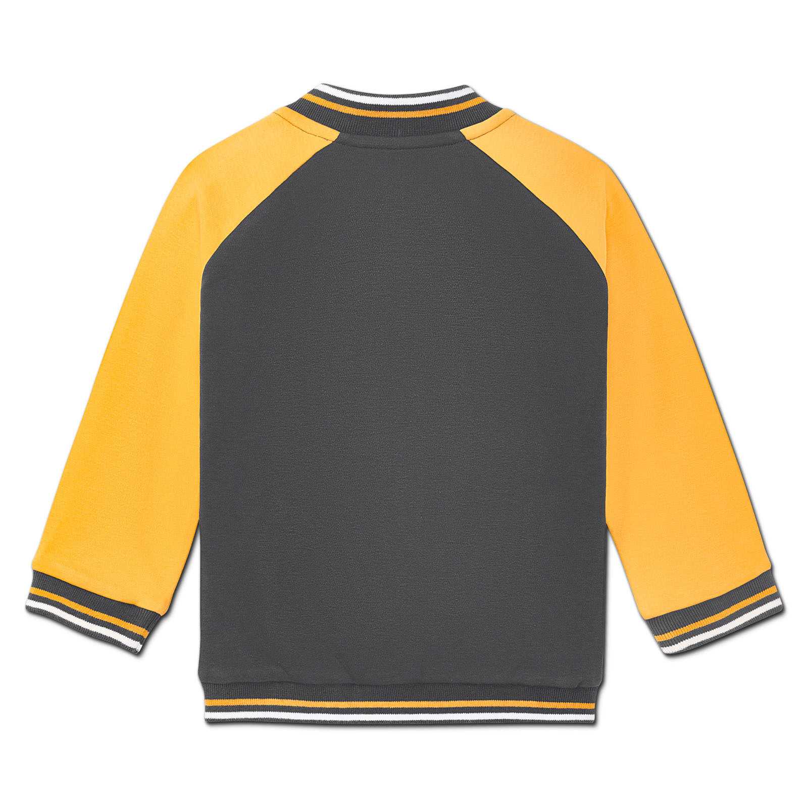 Rückansicht der BVB Collegejacke Kleinkinder in schwarzgelb mit gelben Ärmeln, gestreiftem Kragen sowie Bündchen.