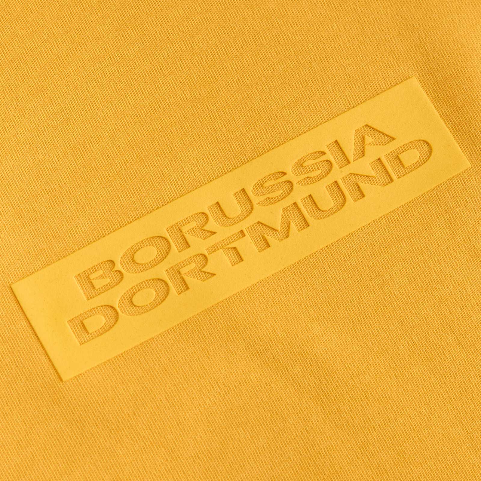 Detailaufnahme des gelben Borussia Dortmund-Schriftzuges.