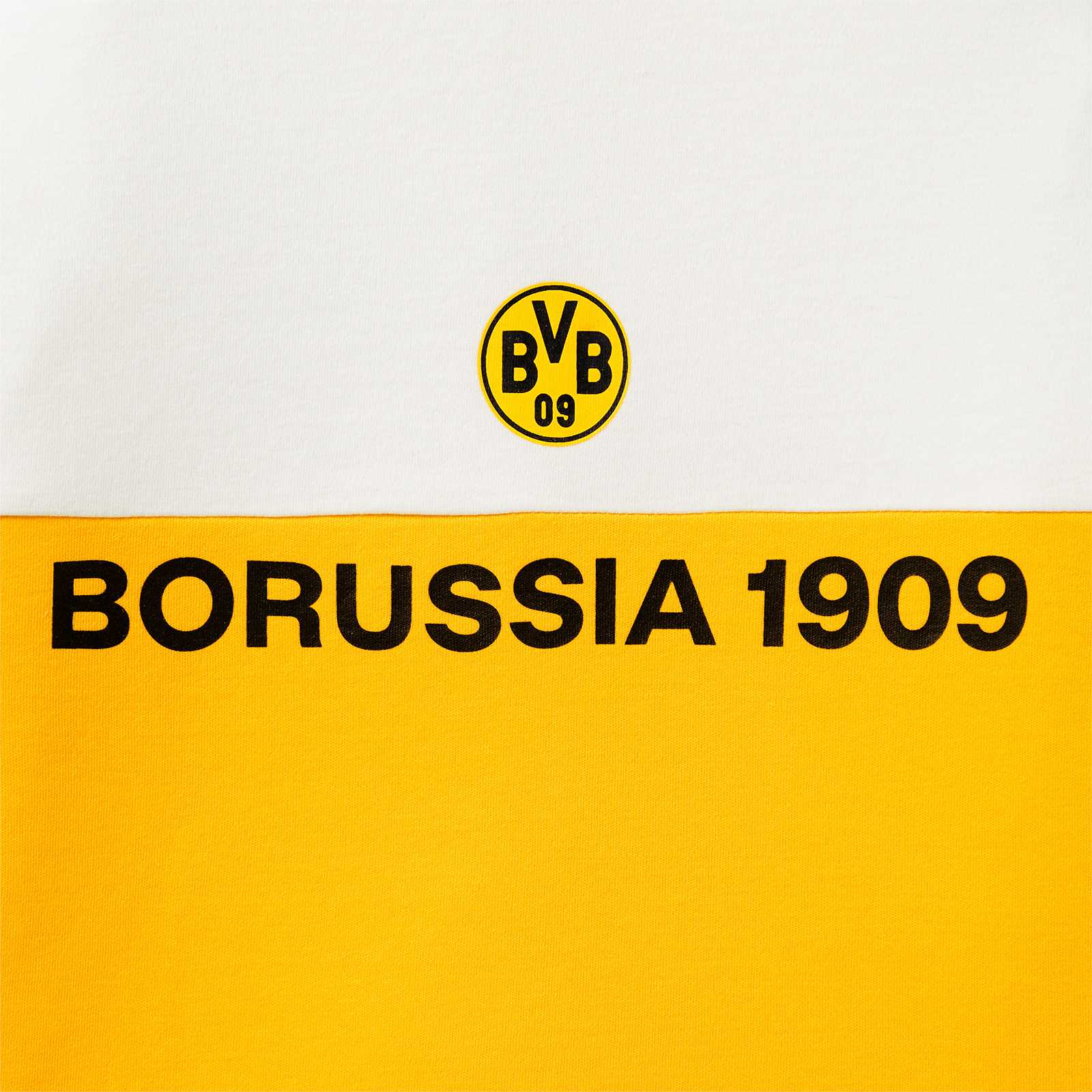 Detailansicht des Schriftzugs "Borussia 1909"