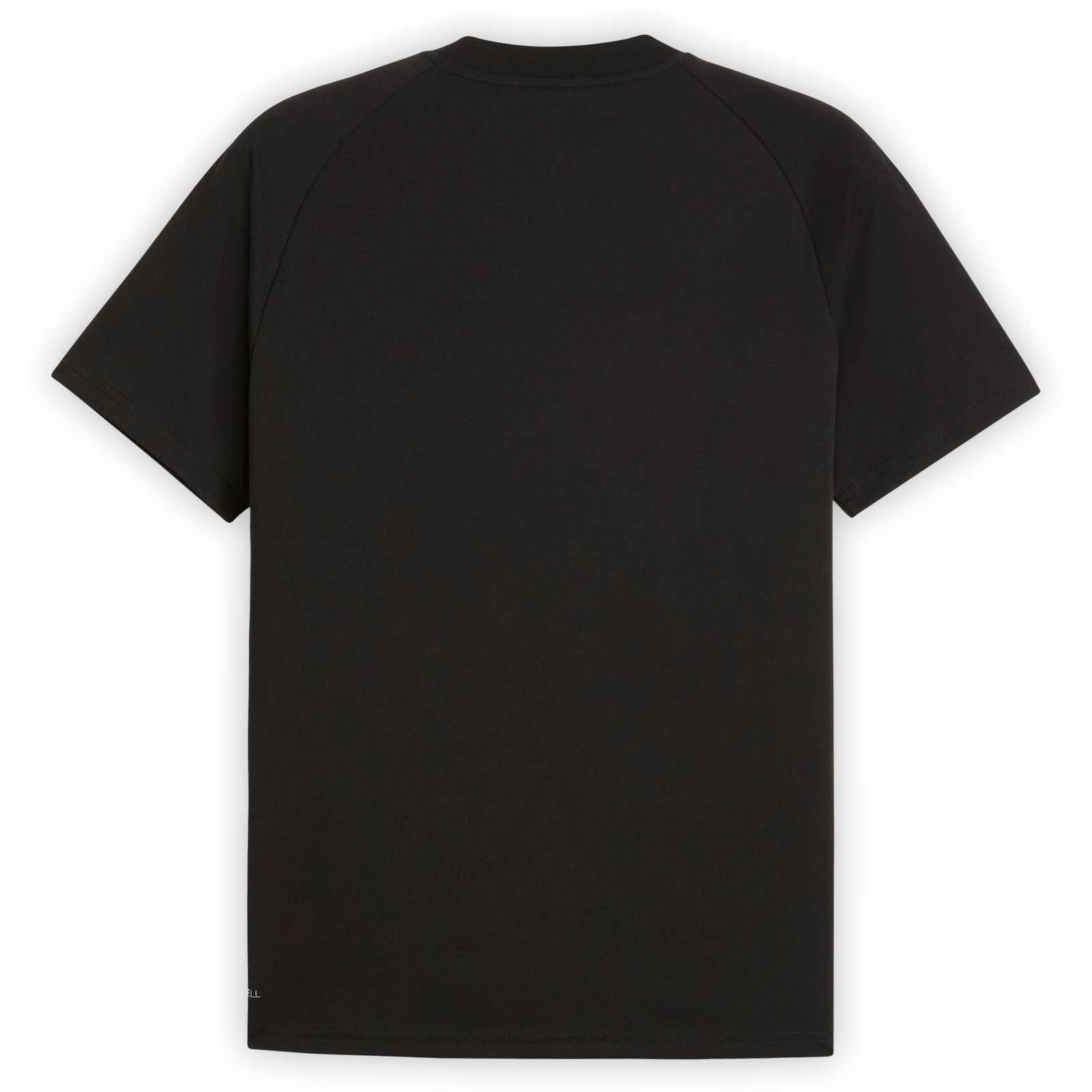 Rückansicht des BVB PUMA Tech T-Shhirt (schwarz).
