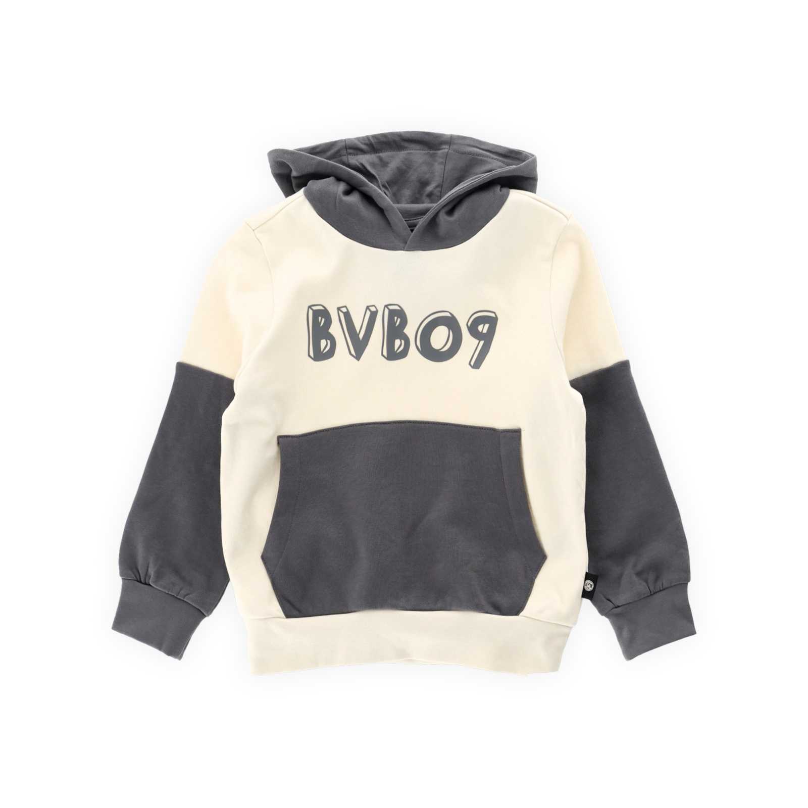 Vorderansicht des BVB-Hoodies für Kinder in beige-grau mit BVB09 Print und Kapuze.